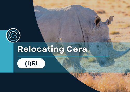Curro (i)RL Relocating Cera
